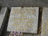 image of grave number 950601